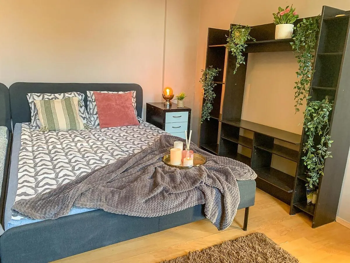Central Houses Budget Friendly Bukarest